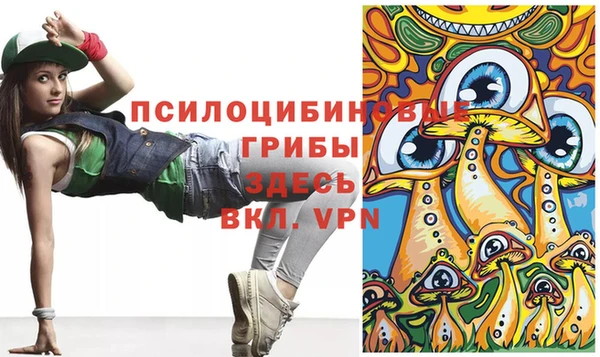 ГАЛЛЮЦИНОГЕННЫЕ ГРИБЫ Верхний Тагил