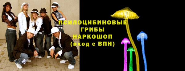 тгк Верея