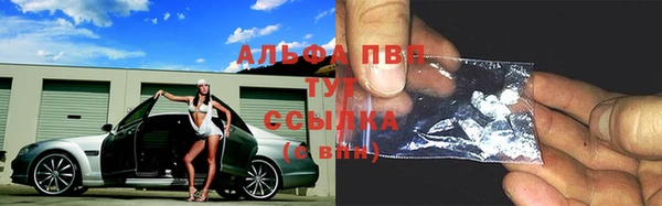 тгк Верея