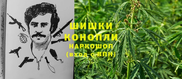 тгк Верея