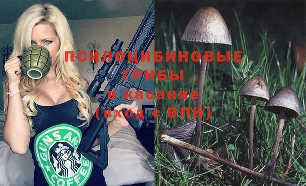 ГАЛЛЮЦИНОГЕННЫЕ ГРИБЫ Верхний Тагил
