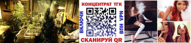 Купить закладки  Чистополь  ТГК THC oil 