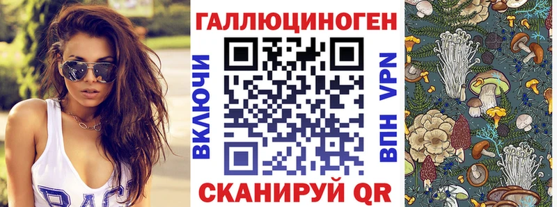 Купить Чистополь Псилоцибиновые грибы GOLDEN TEACHER