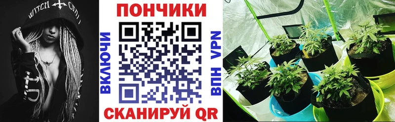 Купить где  Чистополь  Шишки марихуана SATIVA & INDICA 